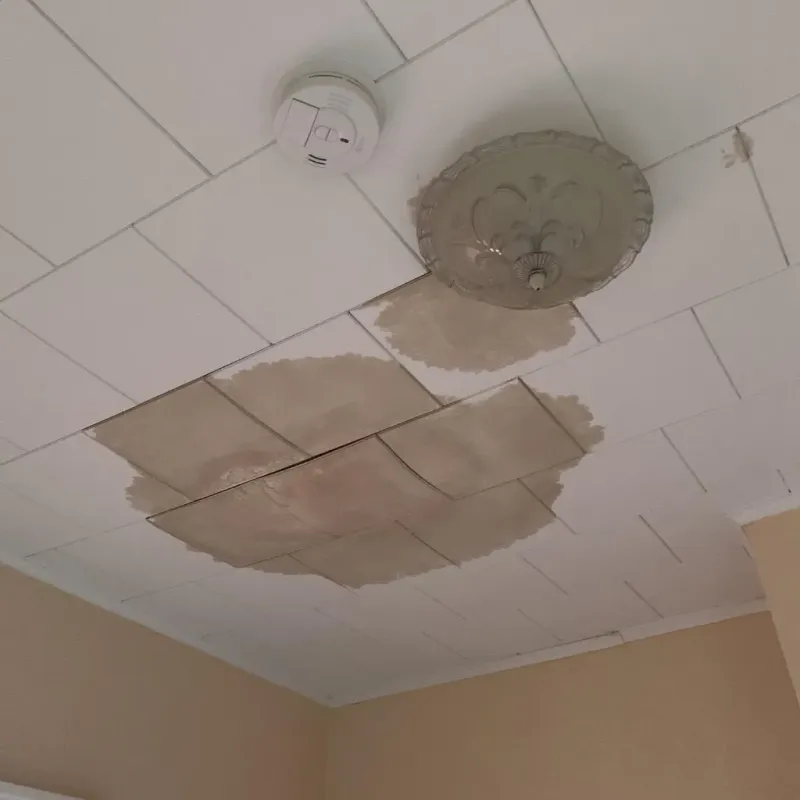 Ceiling Water Damage Repair in Pennington County, SD