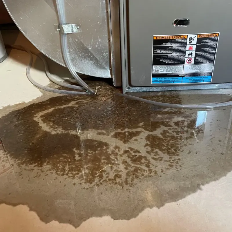 Pipe Burst and Leak Restoration in Pennington County, SD